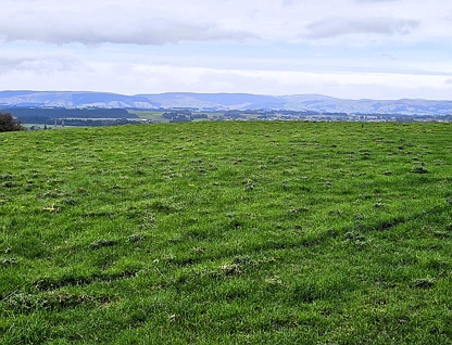 Lot 1 Hillcrest Views, Johnston Road, Balclutha, Clutha, 0 ਕਮਰੇ, 0 ਬਾਥਰੂਮ, Lifestyle Section