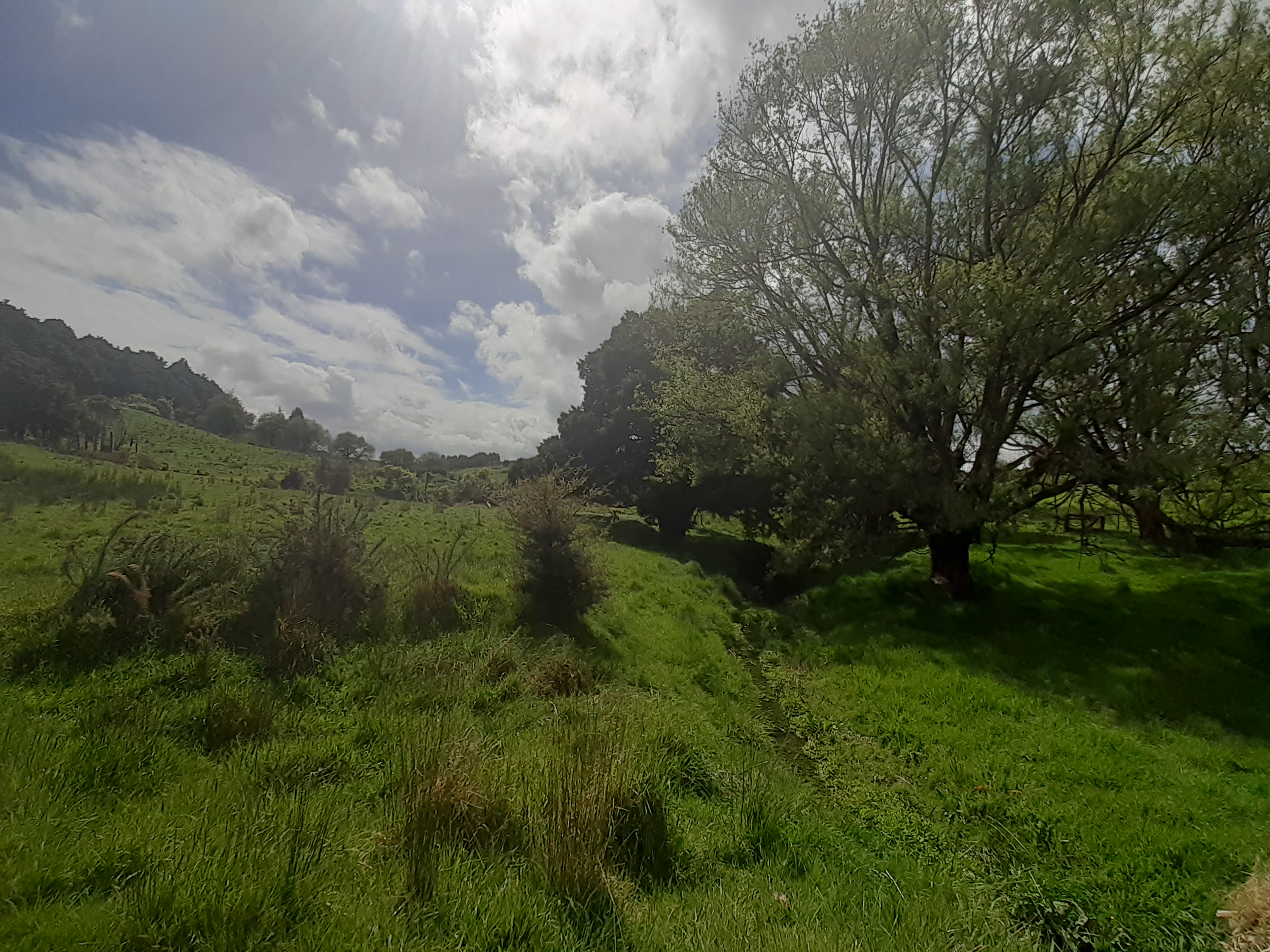 171 Arcadia Road, Paparoa, Kaipara, 0房, 0浴