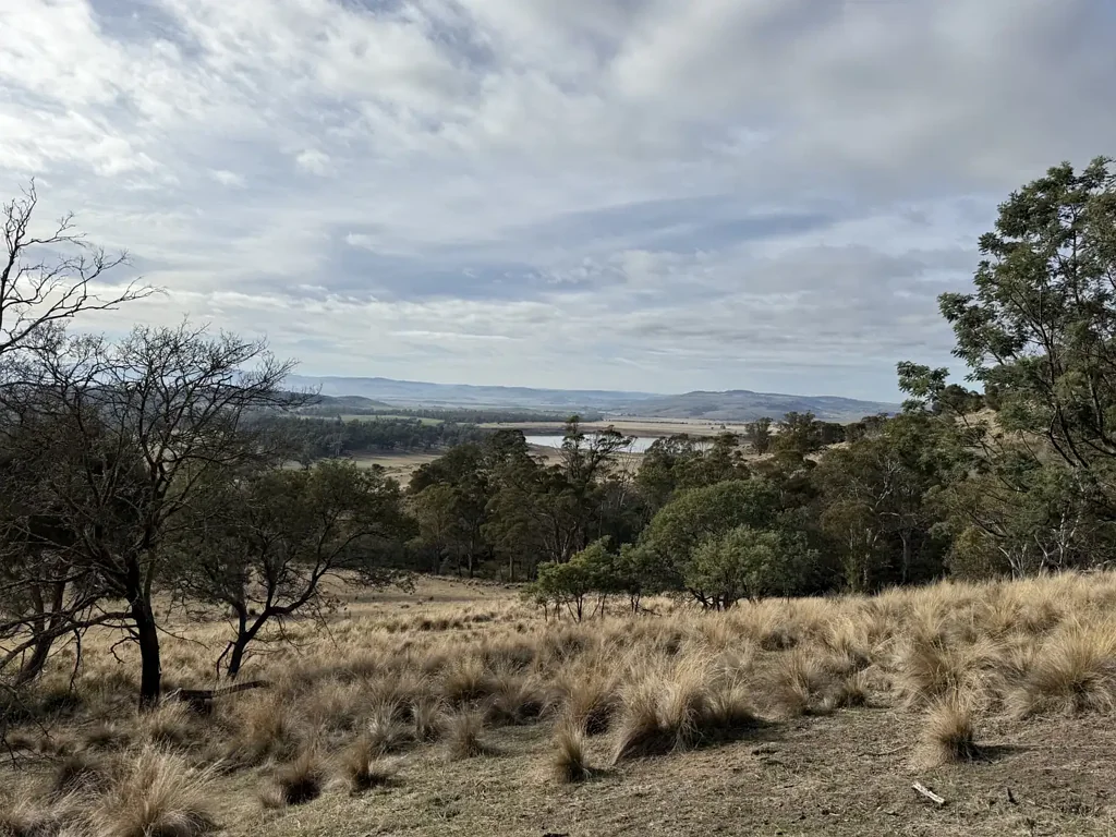 Woodbury High natural value bushland with river frontage