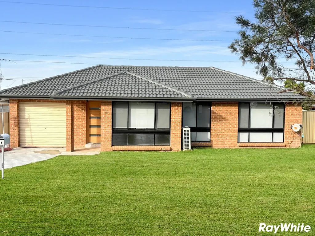 Newly Renovated House