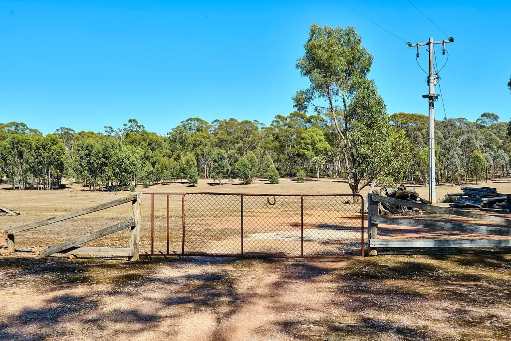 Heathcote Private Lifestyle Block with Dam & State Forest Boundary