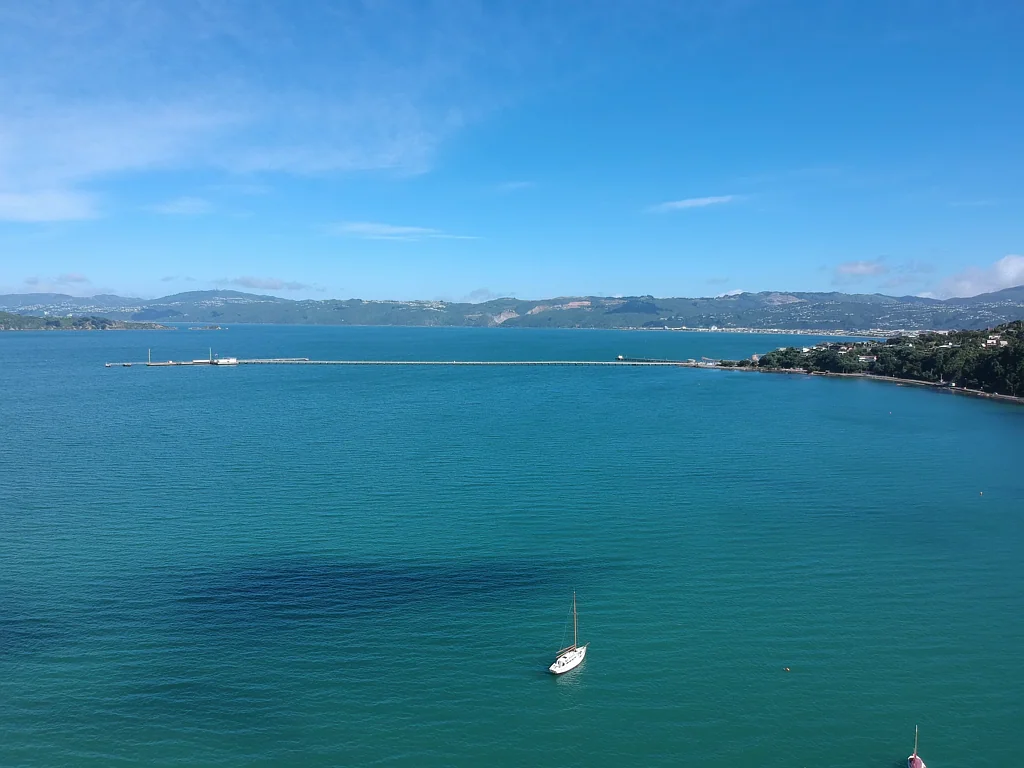 Lowry Bay  Elevated Harbour Views on 2,292sqm