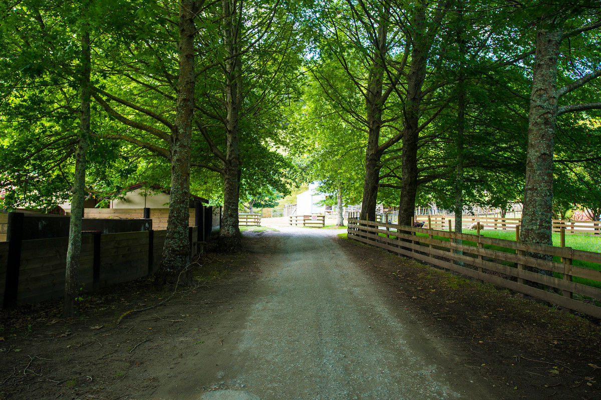 176 Valley Road, Mangapapa, Gisborne, 5房, 0浴