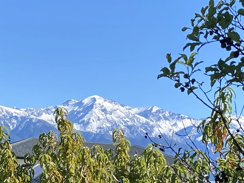 Kaikoura Seaside Serenity: Discover Your Future in Kaikoura