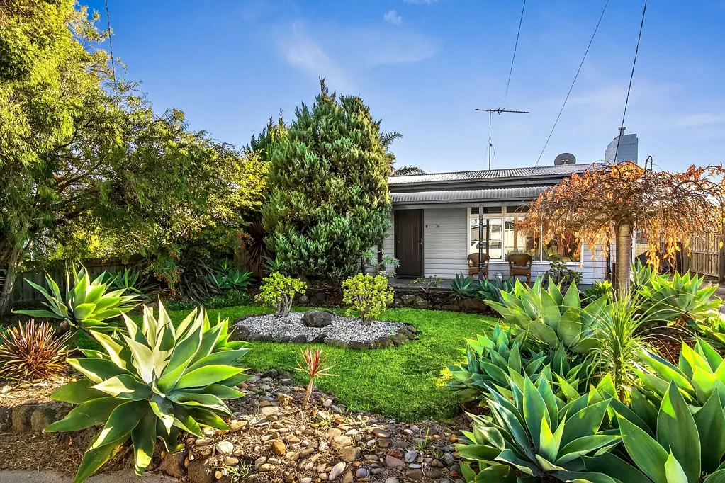 Belmont 2房  Endless Potential in a Prime Belmont Location