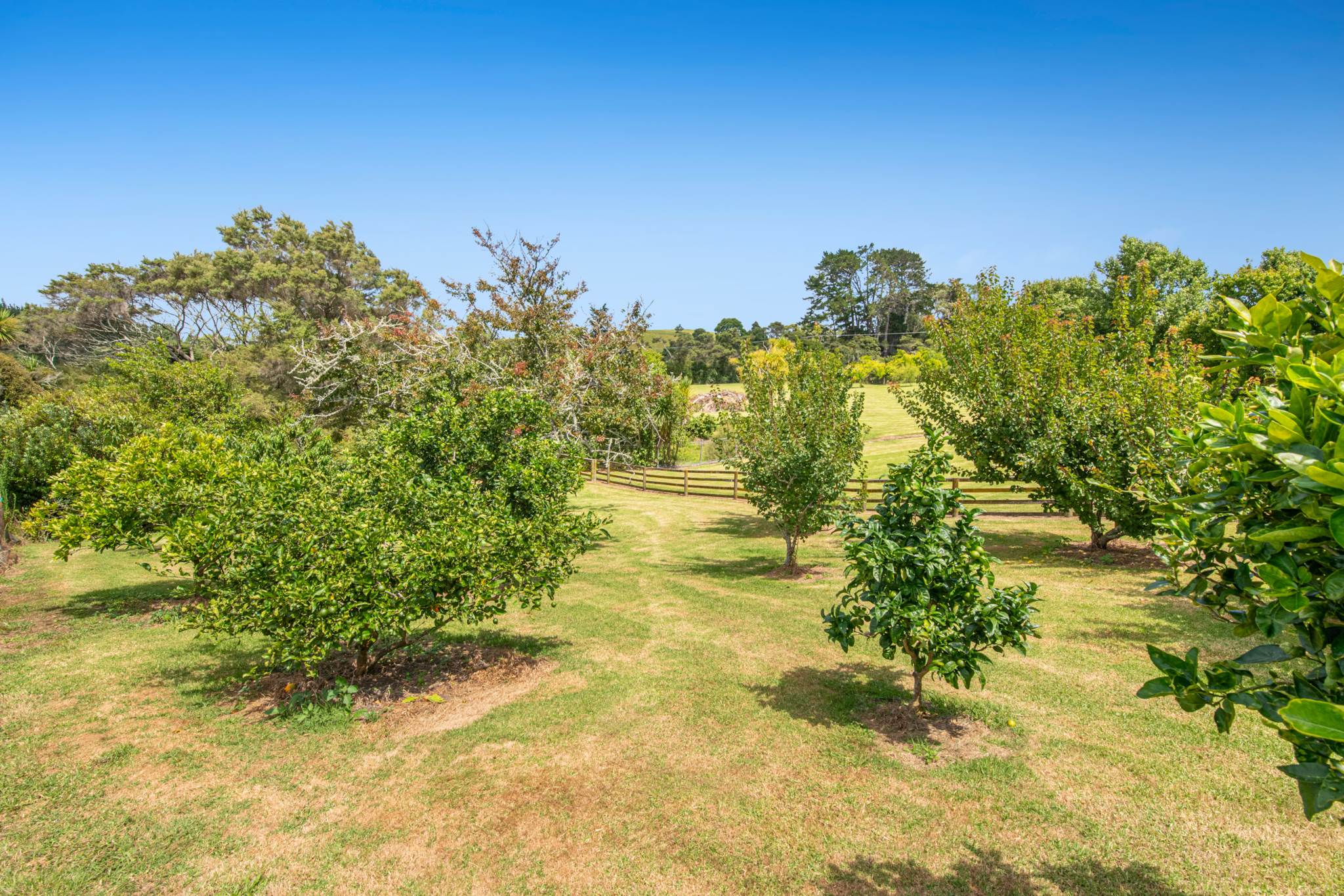 786 South Head Road, South Head, photo 9