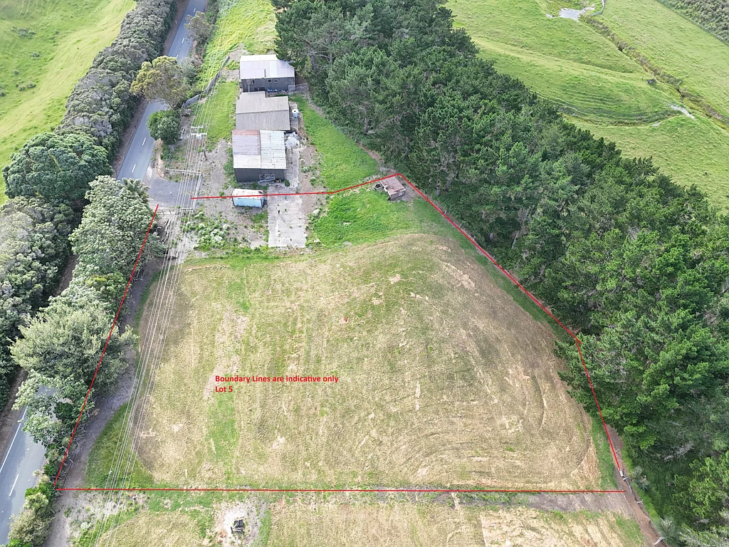 Dargaville  Blank Canvas