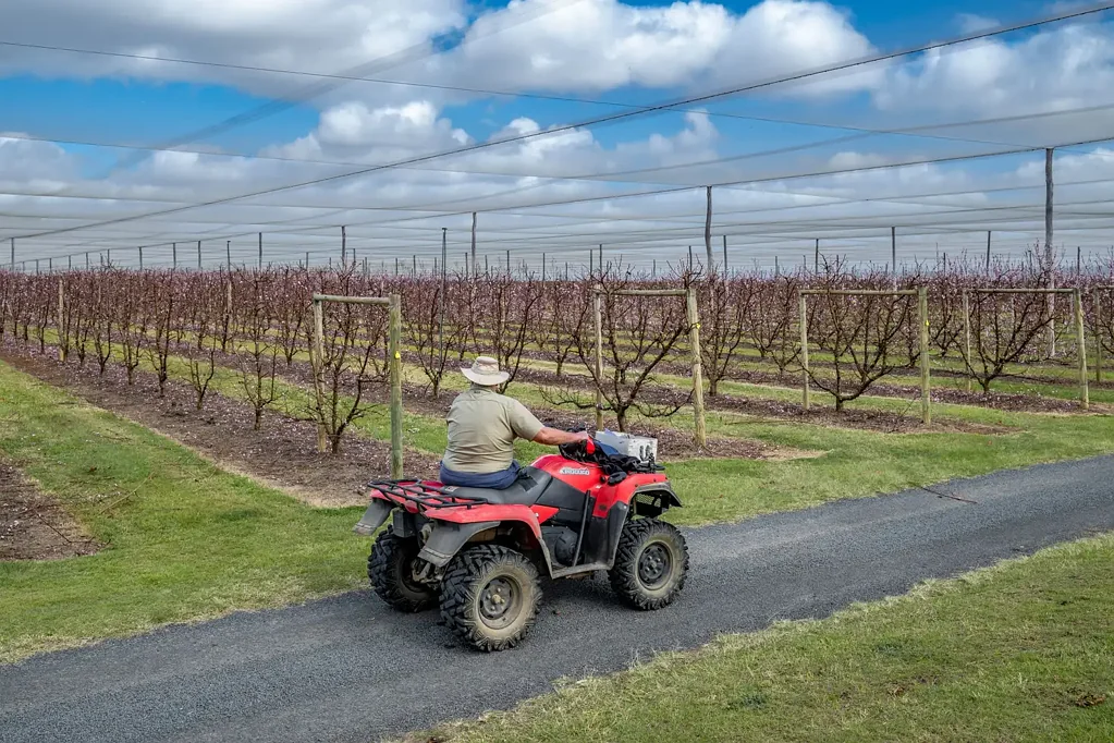Grantham "Grantham Orchards" - Prime Horticultural Opportunity Near Gatton and Toowmoomba