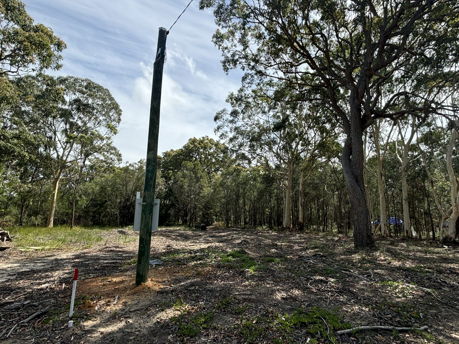 16 WIRRALEE ST, MACLEAY ISLAND QLD 4184, 0 rūma, 0 rūma horoi, Section