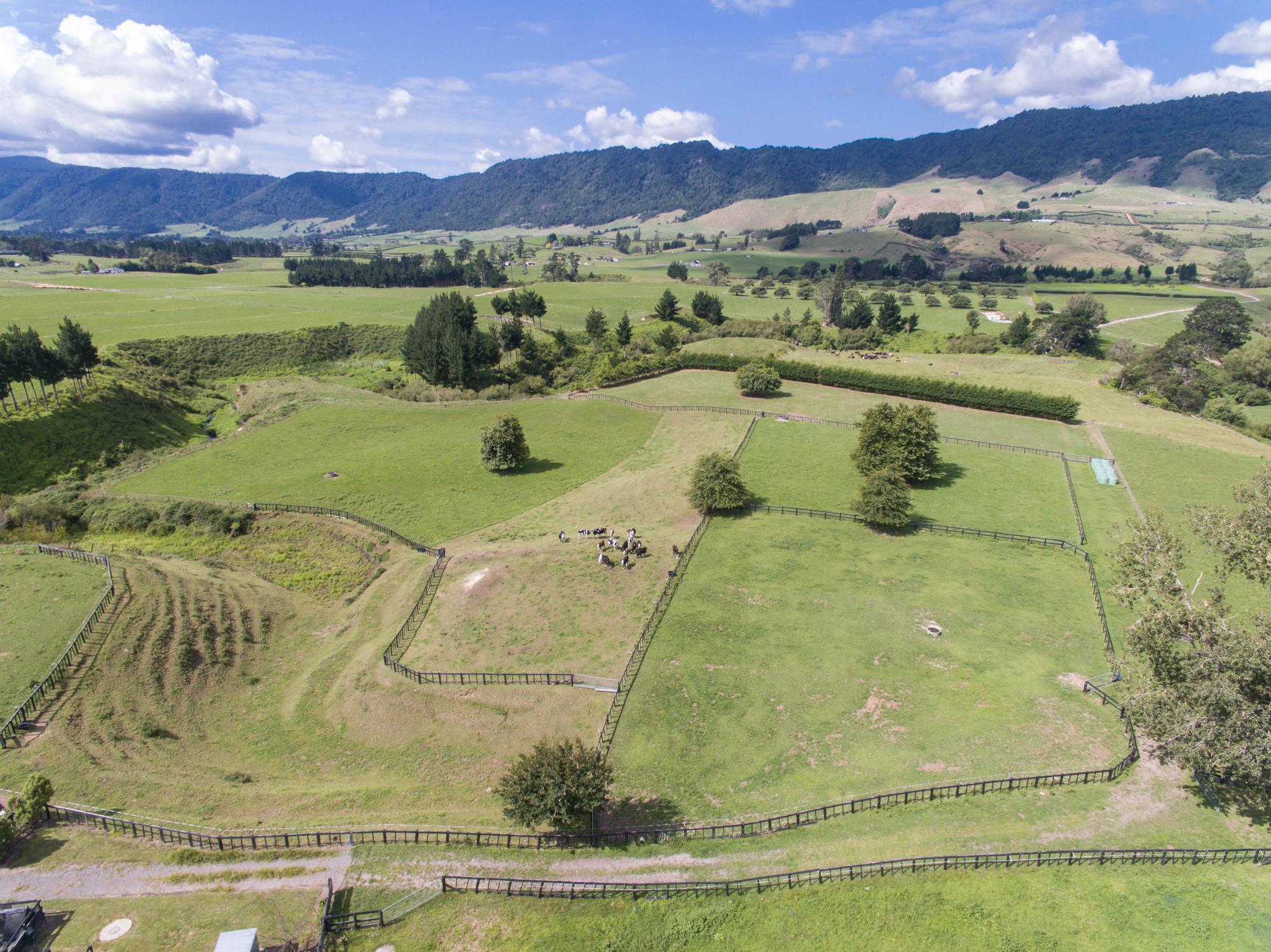 922 Old Te Aroha Road, Okauia, Matamata, 4 ਕਮਰੇ, 0 ਬਾਥਰੂਮ