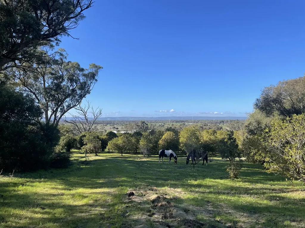 Baldivis UNDER OFFER BY REBEKAH VOS-JAMIESON