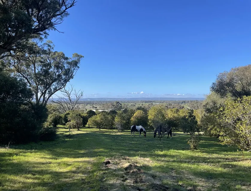 LOT 103 Doghill Road, Baldivis, Rockingham, 0 રૂમ, 0 બાથરૂમ, Section