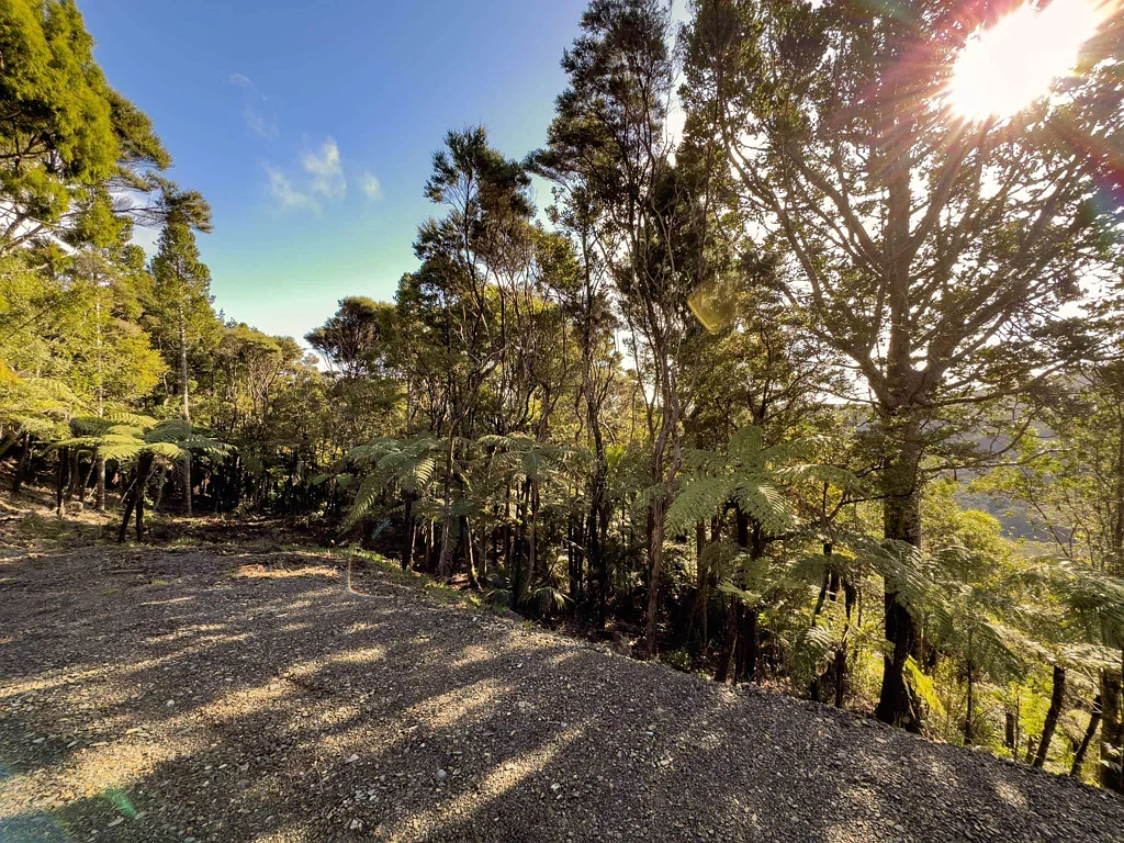 Waitakere Ultimate Privacy on 10 Acre Bush Block