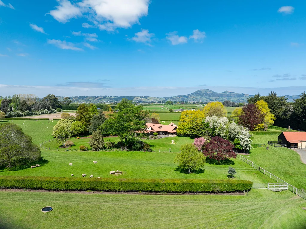 North Taieri Seldomly Available North Taieri Excellence