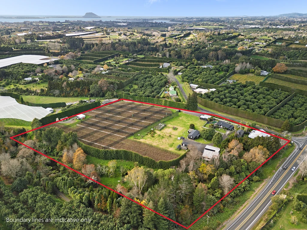 Te Puna Prime State Highway opportunity