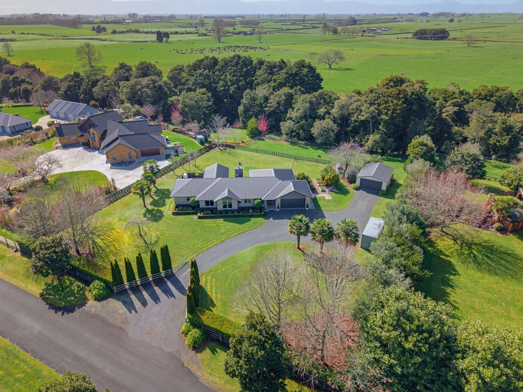 Morrinsville 4 Bedroom Rare Lifestyle Offering, Minutes from Morrinsville