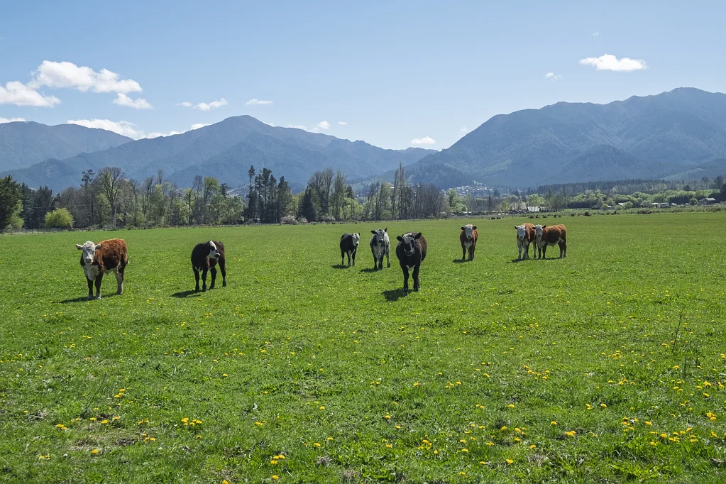 Hanmer Springs Lifestyle, Land & Mountain Views