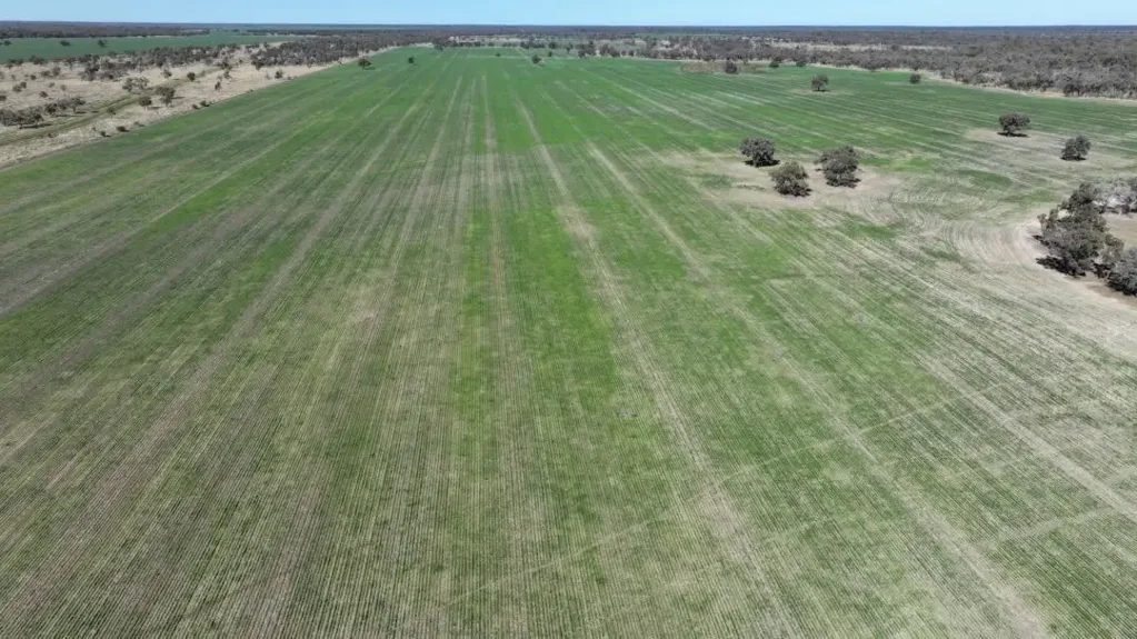  Rosewood, Collarenebri, NSW 2833