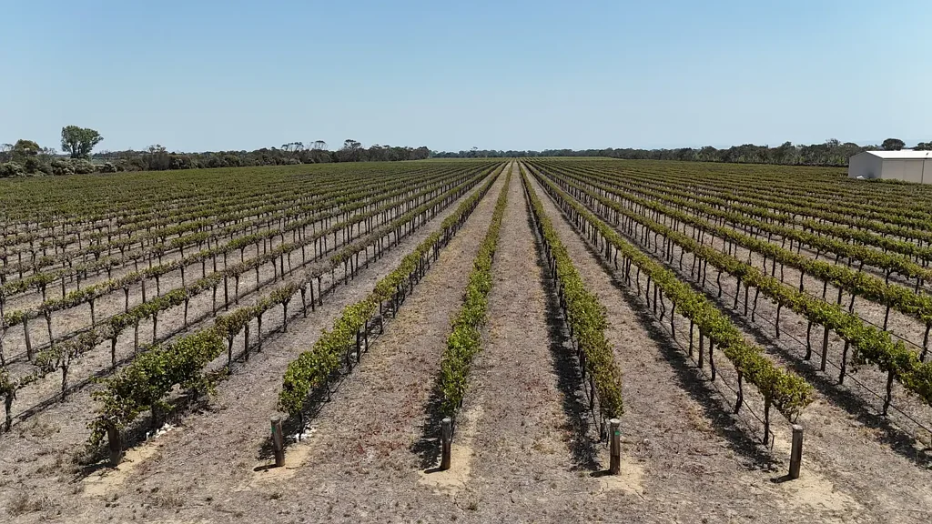 Lake Plains  Chapel Road Vineyard