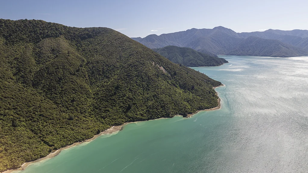 Pelorous Sounds Pelorus Sound Paradise