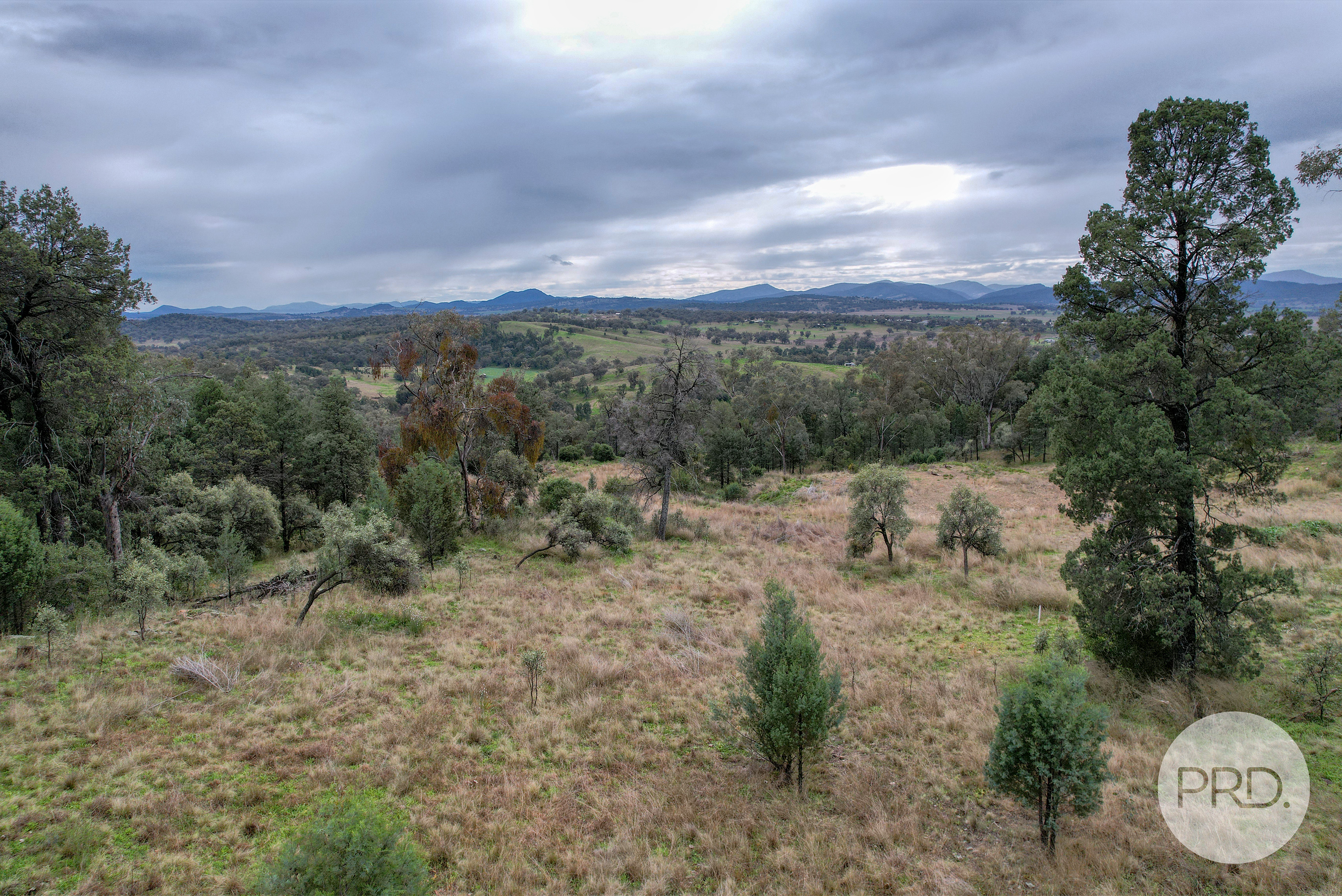 1 GRANDVIEW PL, QUIRINDI NSW 2343, 0 침실, 0 욕실, Section