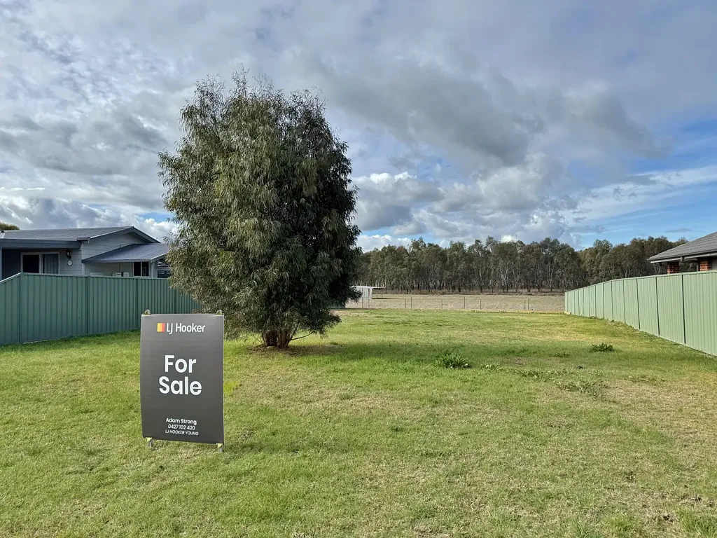 12 Pinkstone Avenue, Cootamundra, NSW 2590