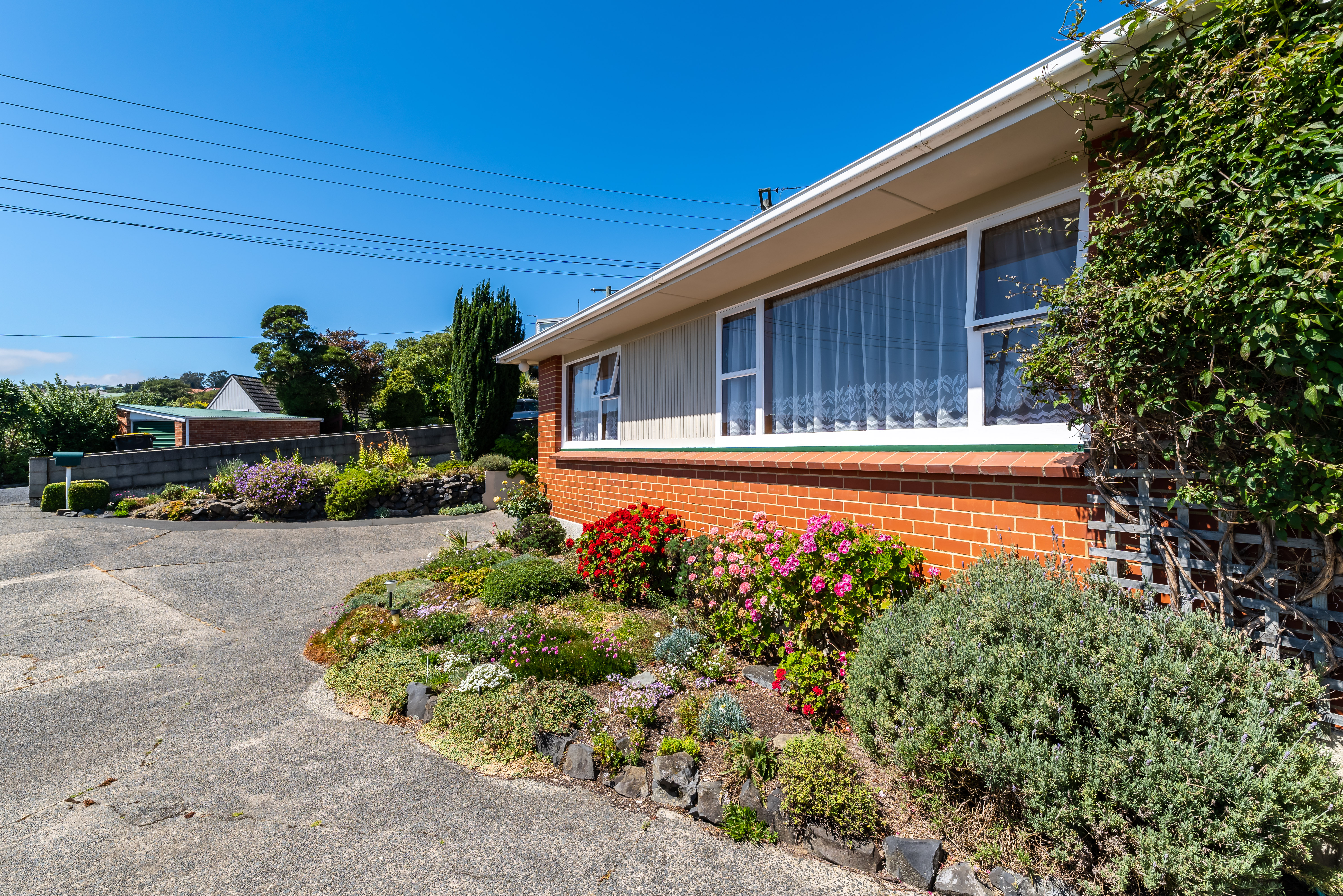 12 Arawa Street, Tainui, Dunedin, 2 ਕਮਰੇ, 0 ਬਾਥਰੂਮ