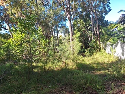 13 Ashton St, Macleay Island