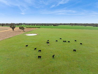 Lot 11 Elmore-Barnadown Road, Goornong, Bendigo, 0 rūma, 0 rūma horoi, Section