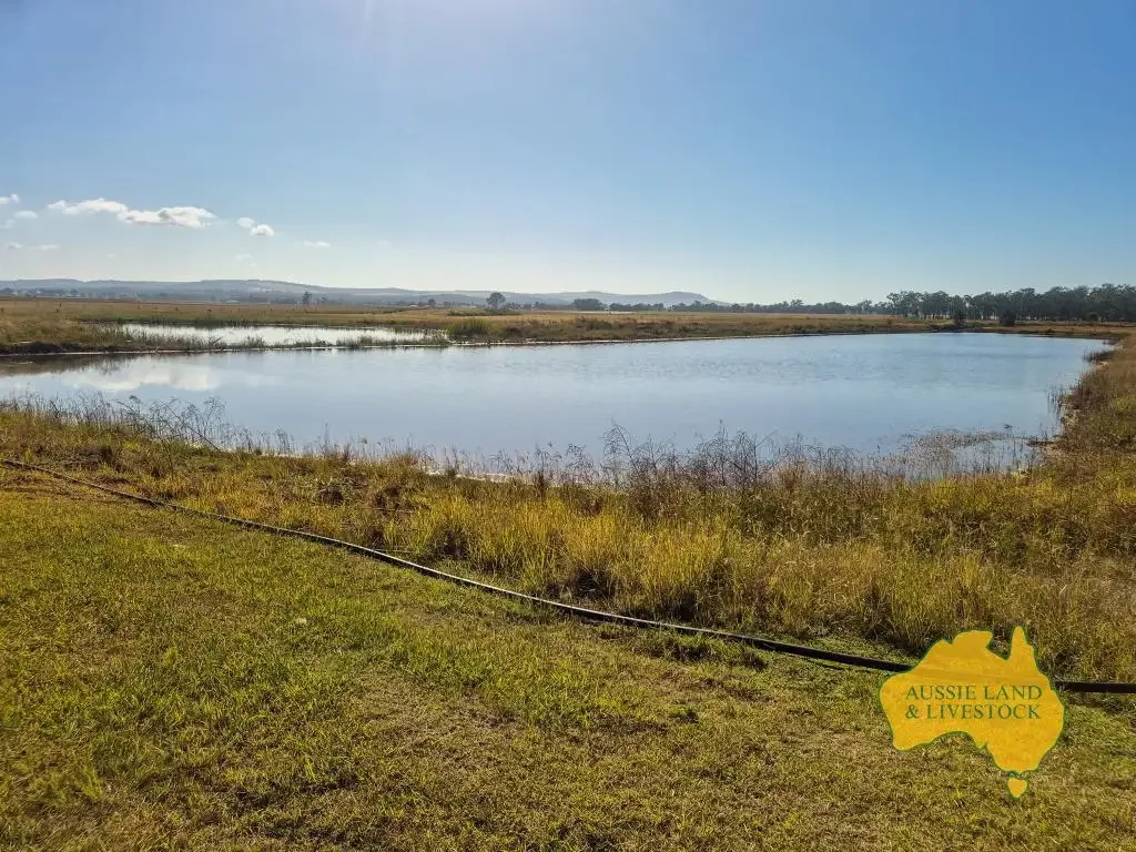 Wheatlands  Property with Endless Possibilities!!