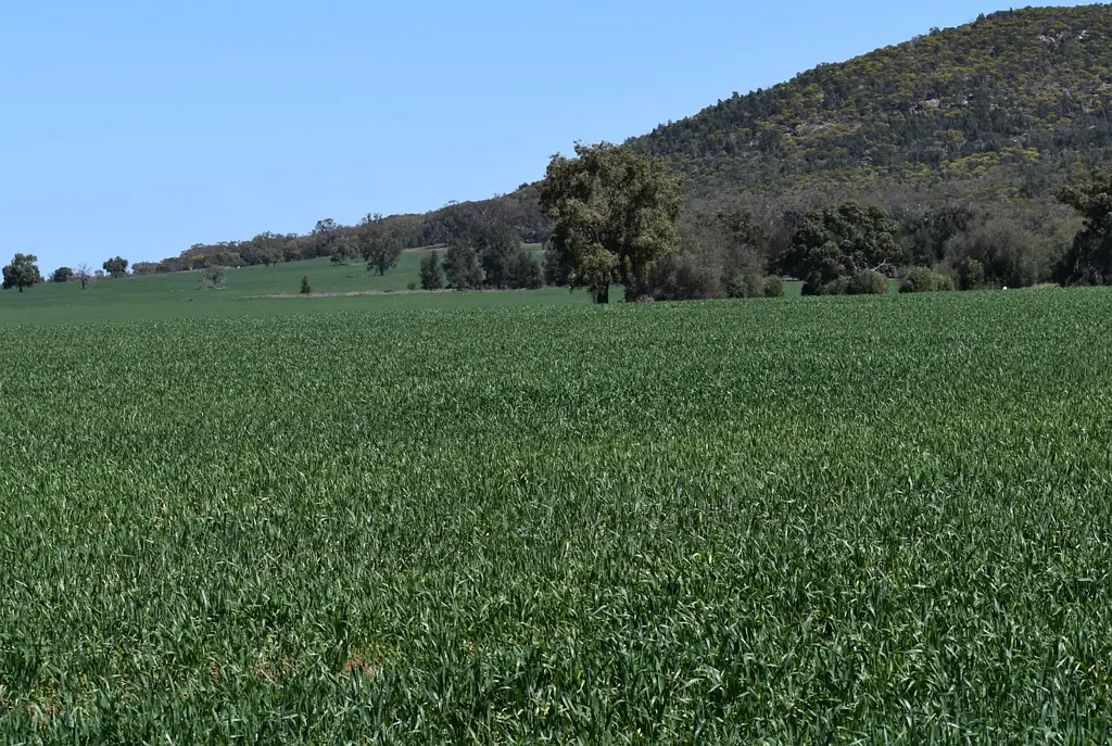 Yarrabandai  "KNOCKVILLE", A substantial mixed‑farming property offering scale and versatility
