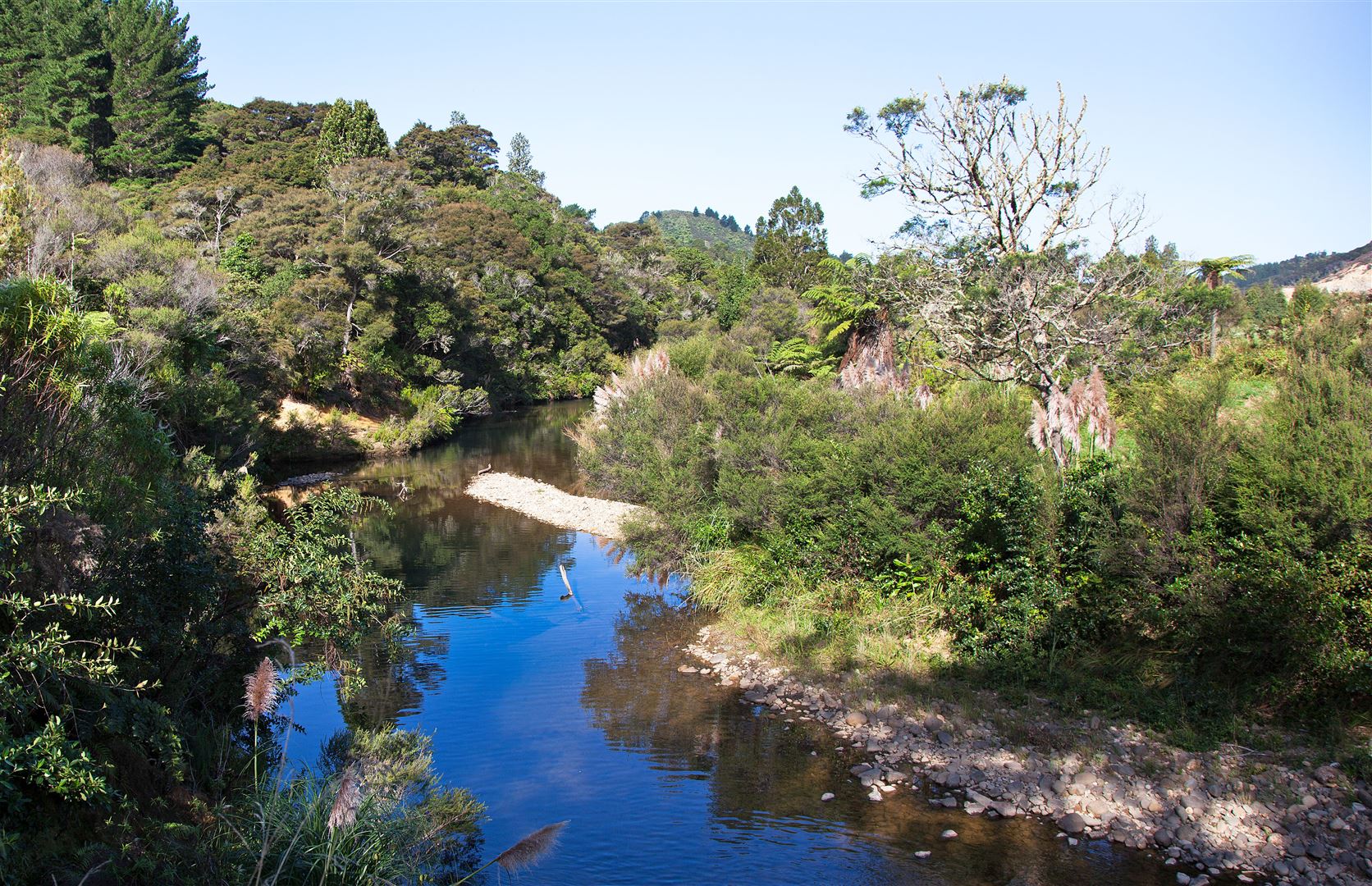 1858 The 309 Road, Kaimarama, Coromandel, 2房, 0浴