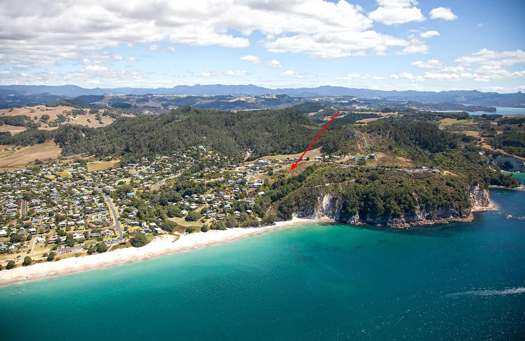 Whitianga Your own pocket of bush and blue