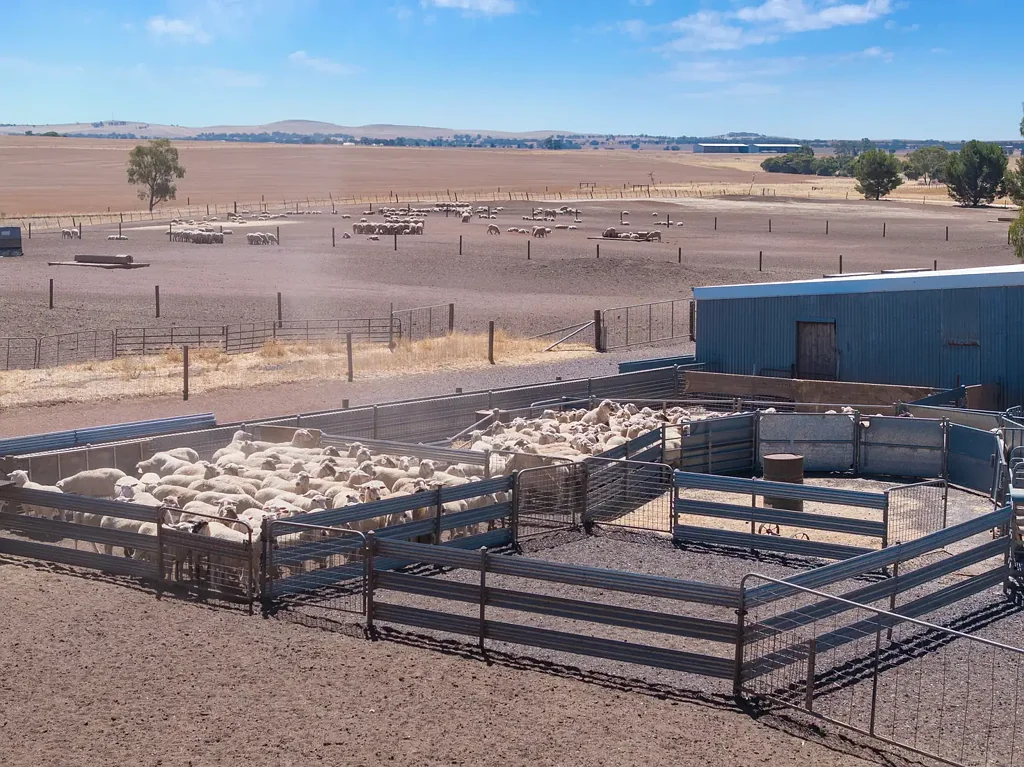 'Merilden Feedlot' Bowmans Road, Manoora, SA 5414
