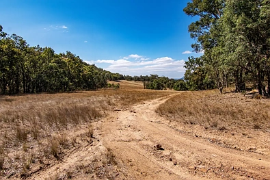 856 Spring Flat Road, Spring Flat, NSW 2850, 0 Bedrooms, 0 Bathrooms, Lifestyle Property