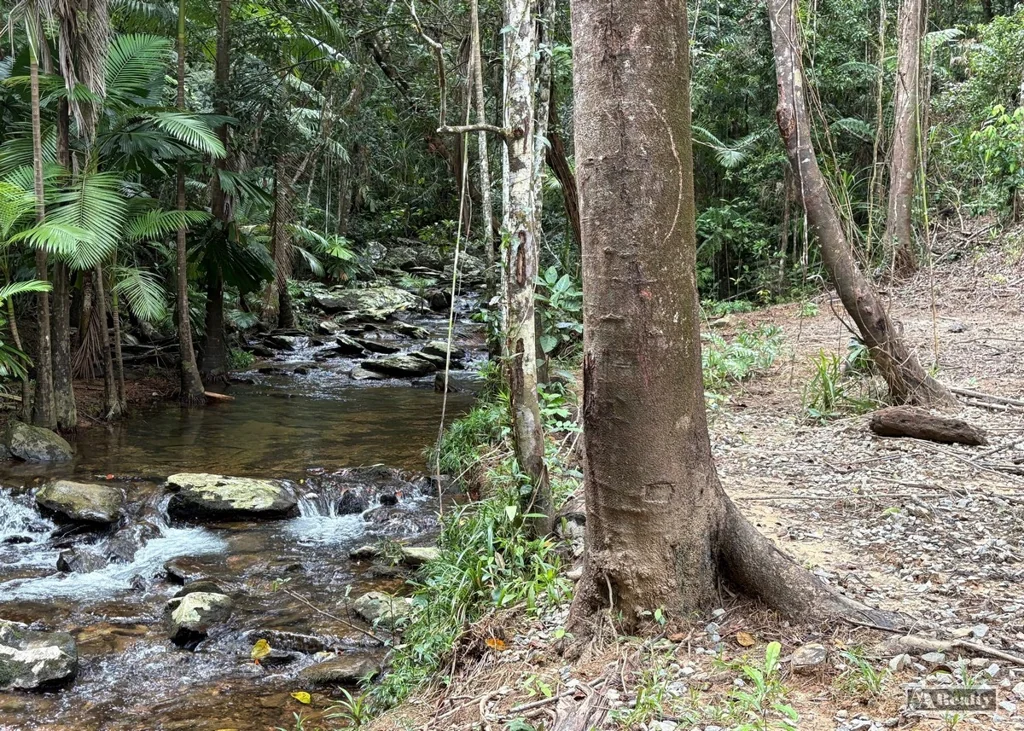 Jubilee Heights RAINFOREST, CREEK BLOCK - JUBILEE HEIGHTS