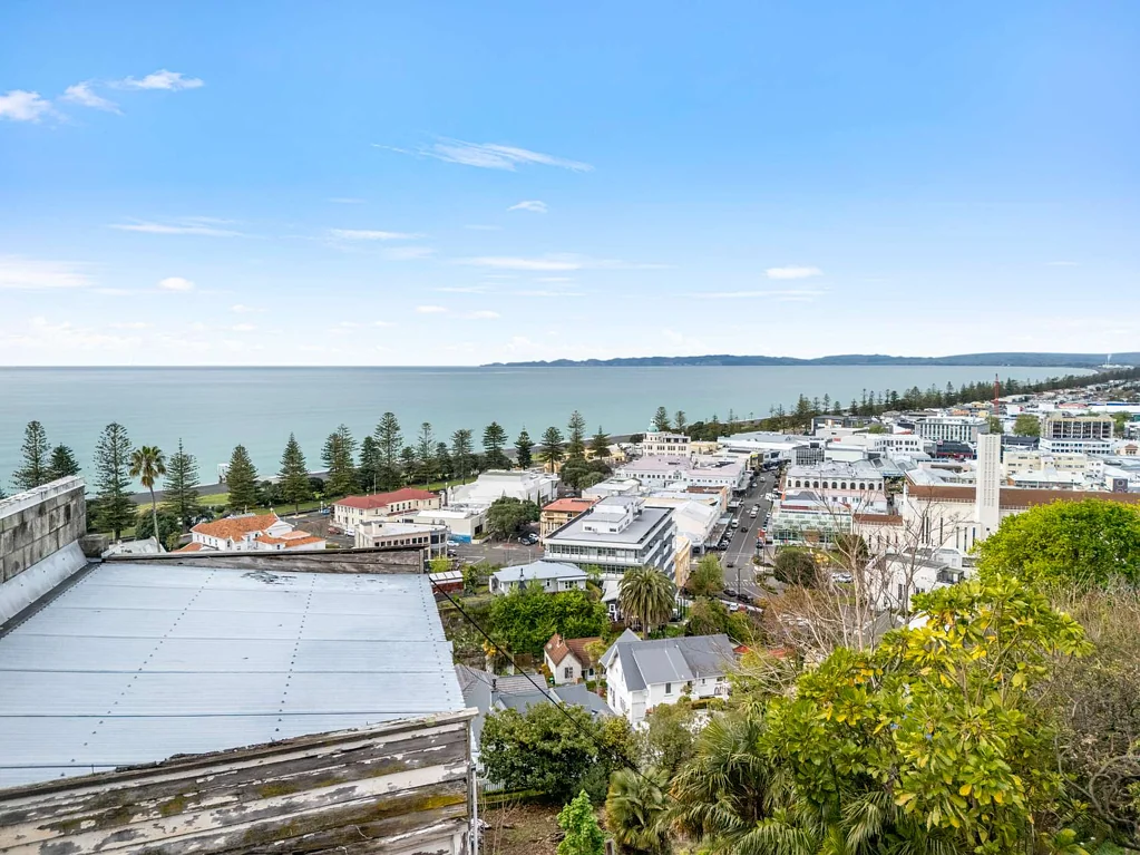 Napier Hill The View. The Location. The Opportunity.