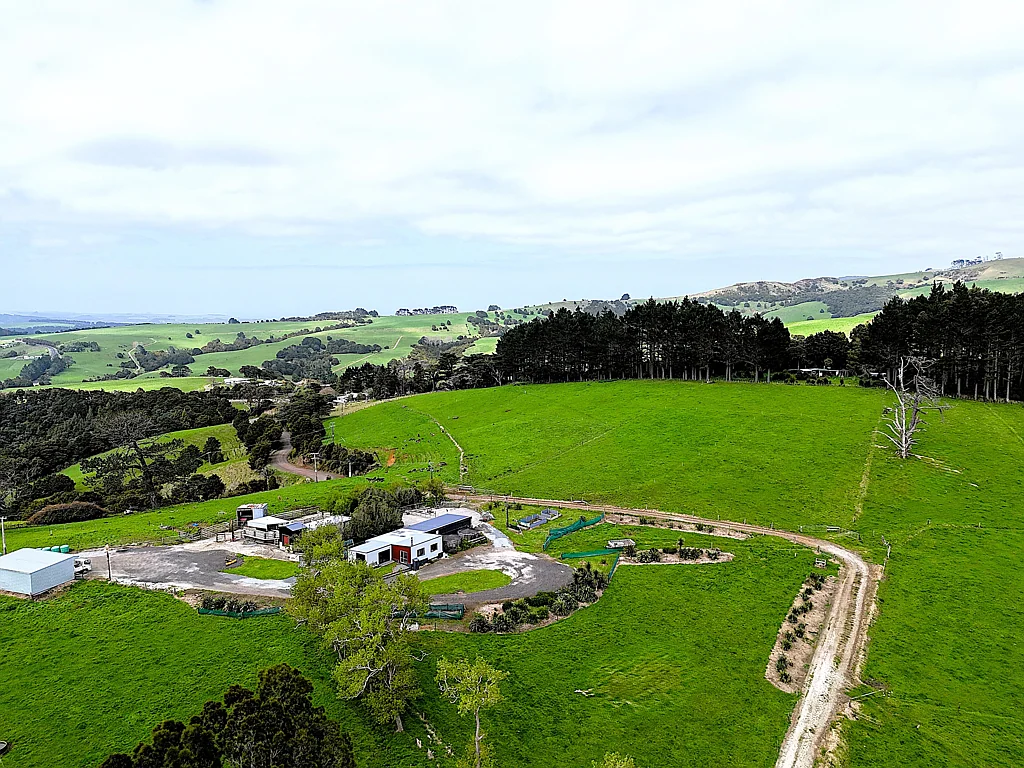 Dargaville Surrounds  Lifestyle, Farming All in One