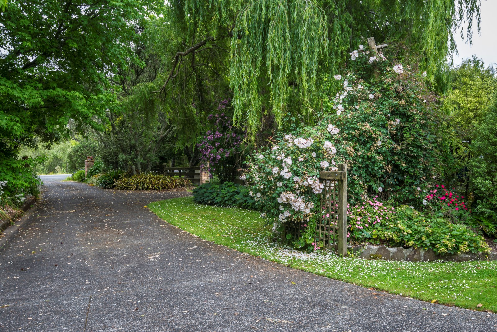 1596 Dairy Flat Highway, Dairy Flat, Auckland - Rodney, 5 ਕਮਰੇ, 2 ਬਾਥਰੂਮ