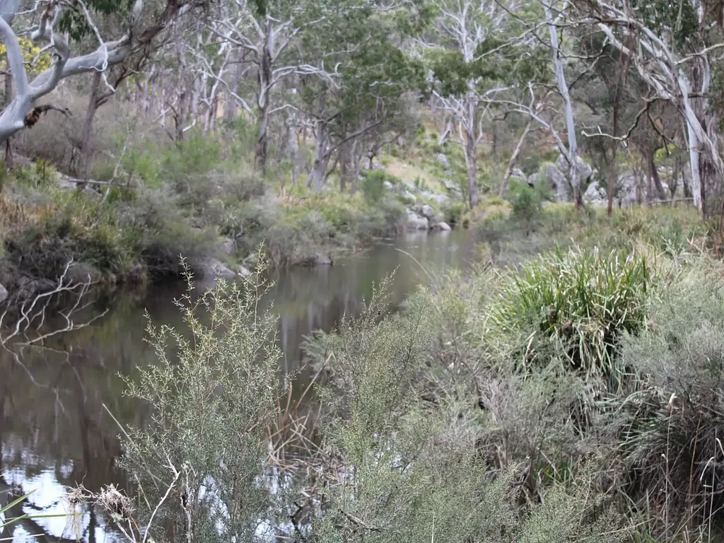 1521 Morven Road, Dundee, NSW 2370