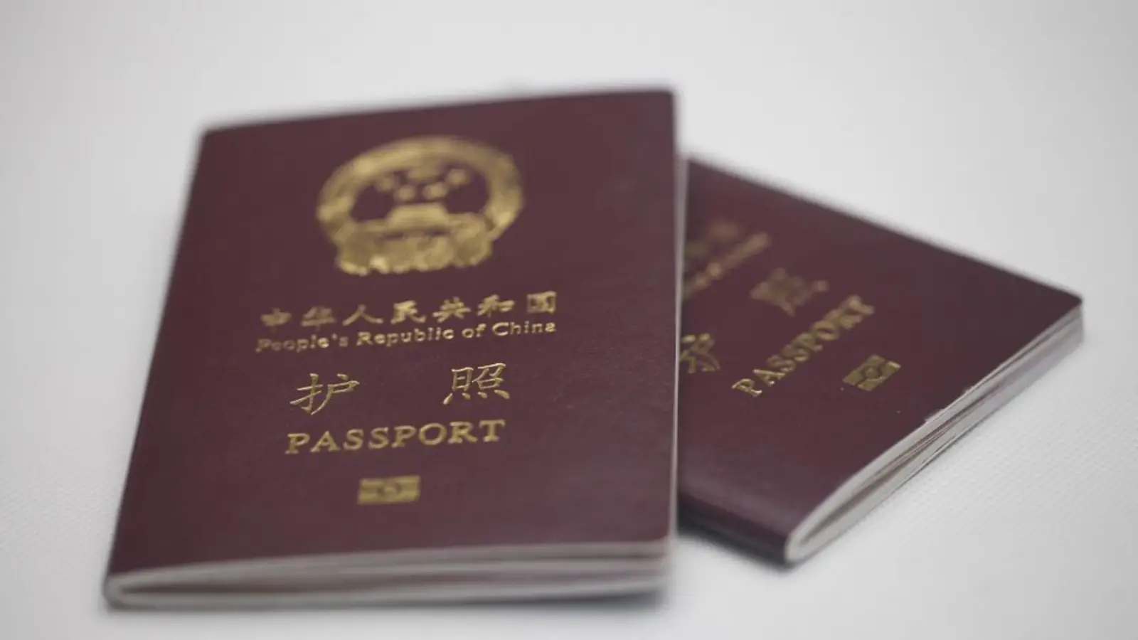 2019美澳加新四国父母团聚移民大比拼