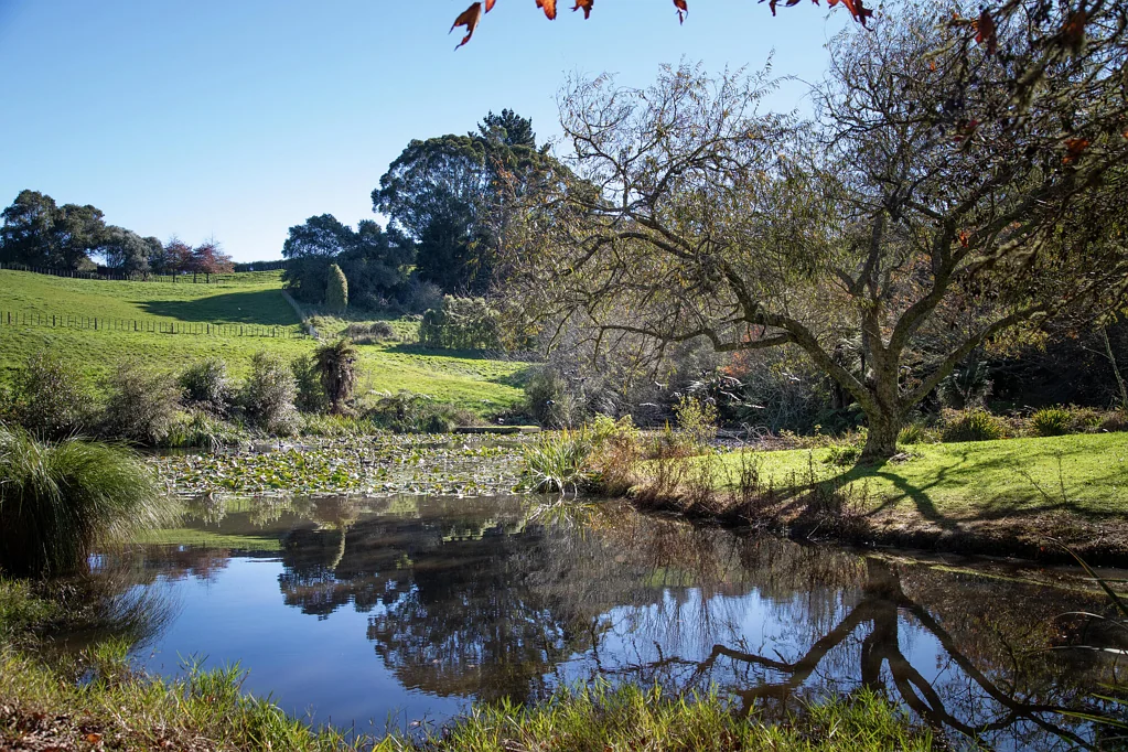 Ararimu The Pond. The Trees. The Peace