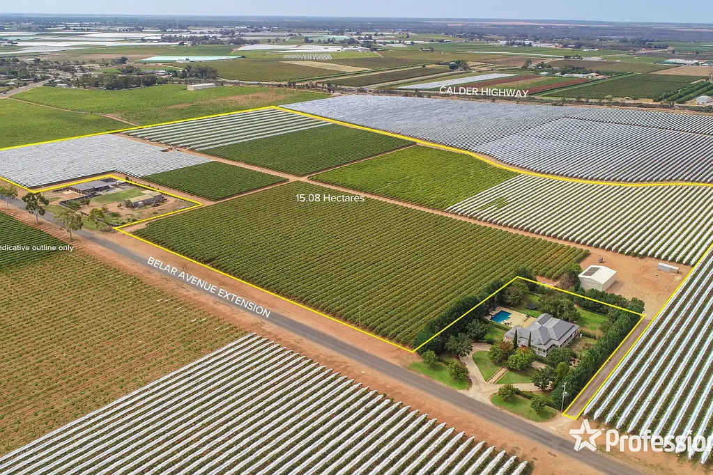Irymple Top Class Irymple Table Grape Property on 15.08Ha (37.26 acres)