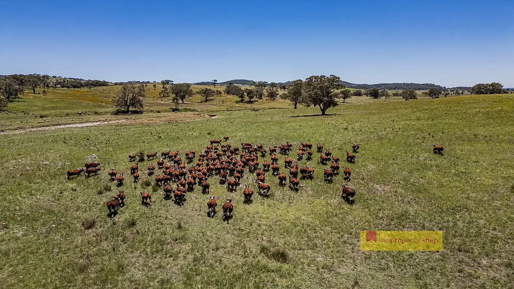 735 Kaludabah Road, Mudgee, NSW 2850