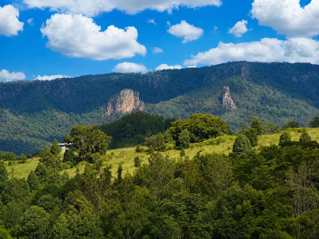Nimbin  FIREFLY FOREST FARM