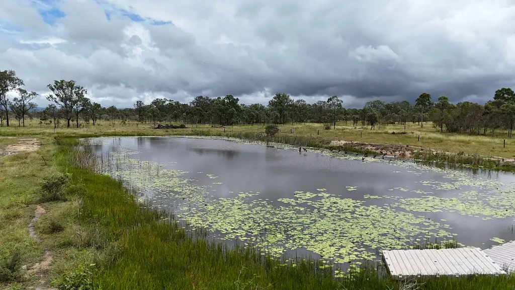 154 Nimmitabel Road, St Lawrence, QLD 4707