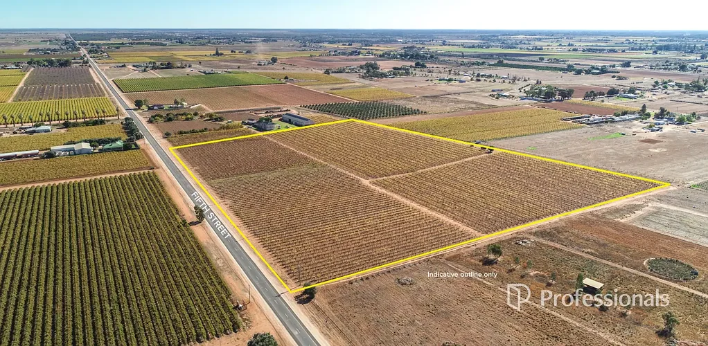 Merbein  Highly Maintained Sultana Vineyard