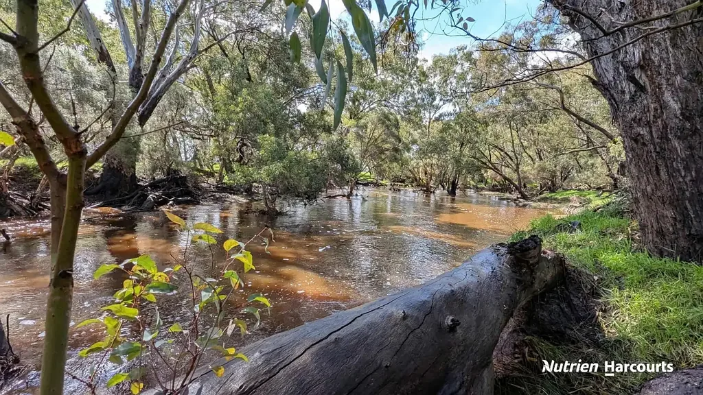 Cowalla  Your Dream 100-Acre Escape on Moore River!