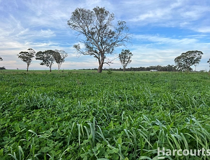 . Charam-Wombelano Road, Charam, Horsham, 0 침실, 0 욕실, Lifestyle Property