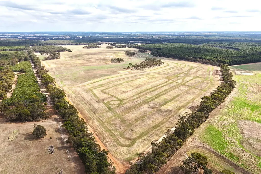 Mount Barker 'Taylor'